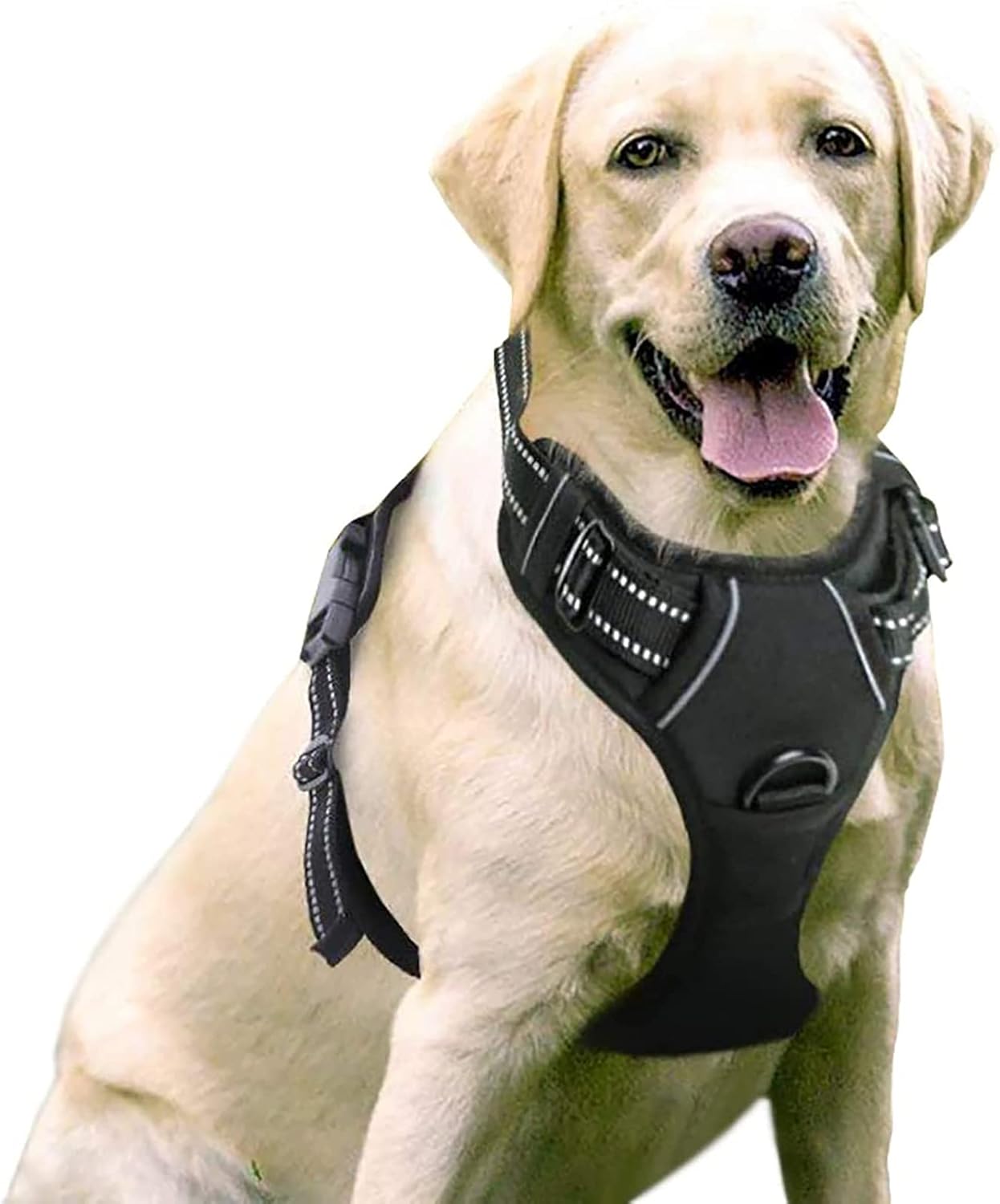 REDz 3+2 paintball harness. Pack only: no belt included. OG. Rare
