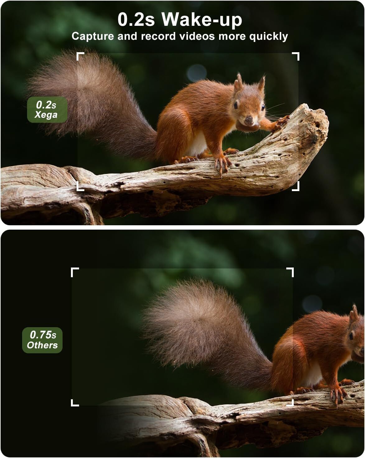 Xega 4G Caméra de Chasse Solaire HD 2K Surveillance Faune,Accès à Distance,Vision Nocturne Infrarouge,Batterie,Détection PIR,Alertes Instantanées - 7