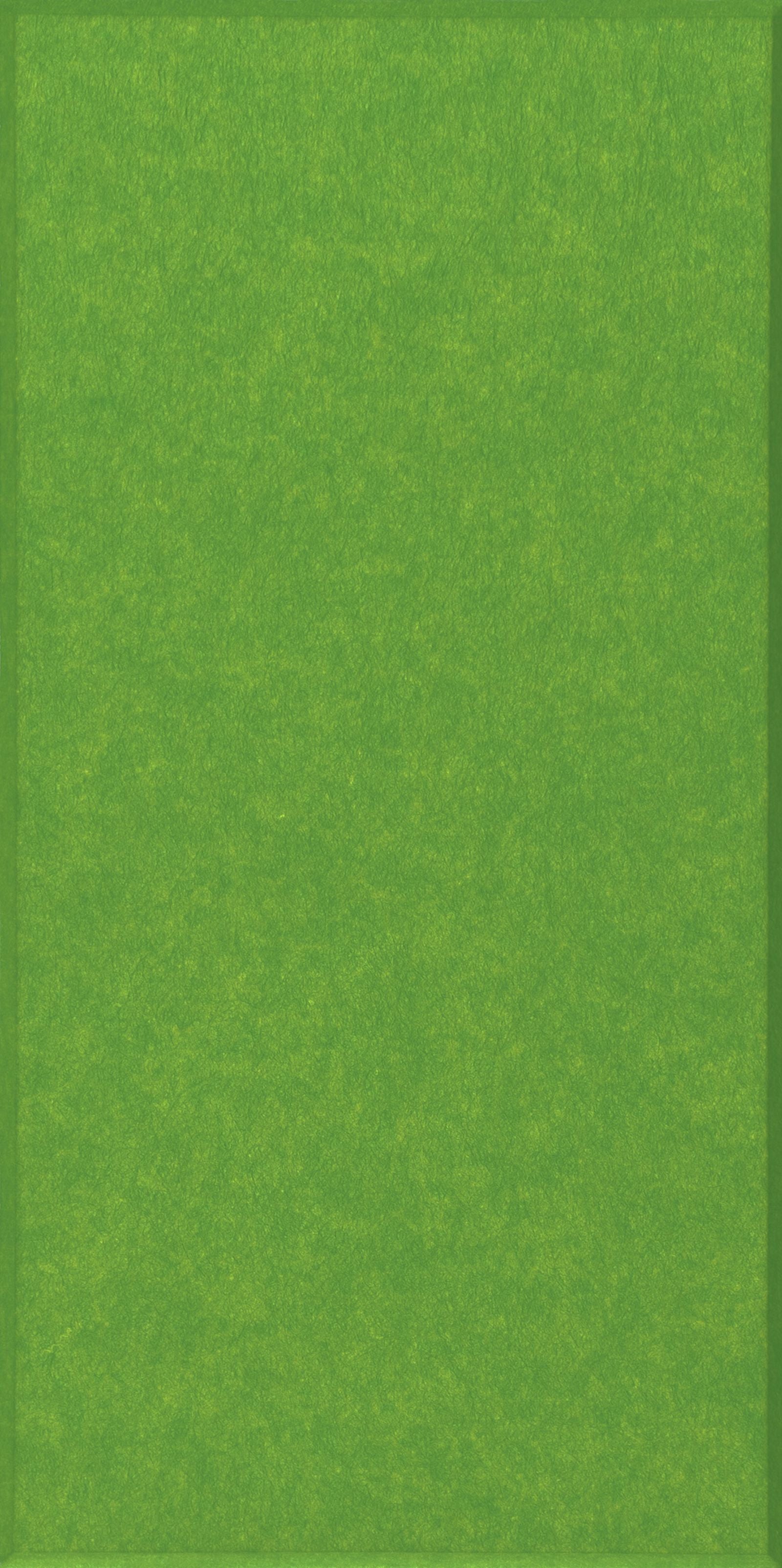 Panel filcowy Decosa zielony 40 x20 cm 9mm 1 szt.