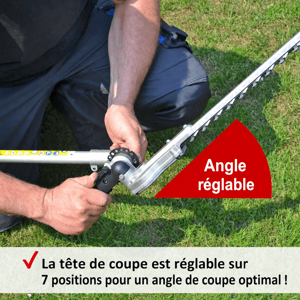 Hecht jardin 695 Taille haies telescopique electrique 900W pour arbustes et buissons - 3