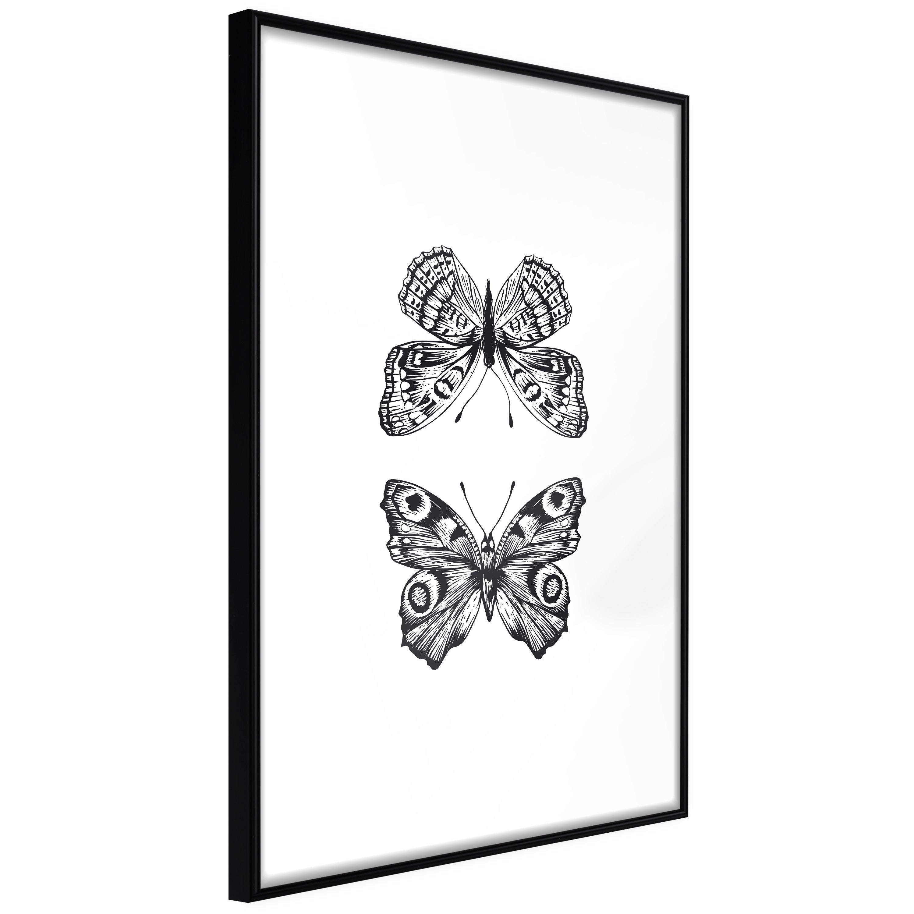 Poster Et Affiche Butterfly Collection I X Leroy Merlin