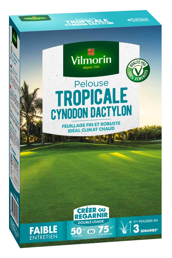 Pelouse Tropicale - Kikuyu - 500 g + Cynodon Dactylon - 500 g - 3