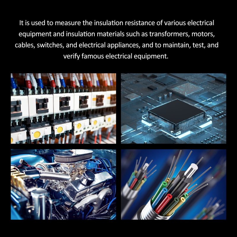 Mégohmmètre numérique portable de haute précision (0-1000 MΩ, 500 V) - 2