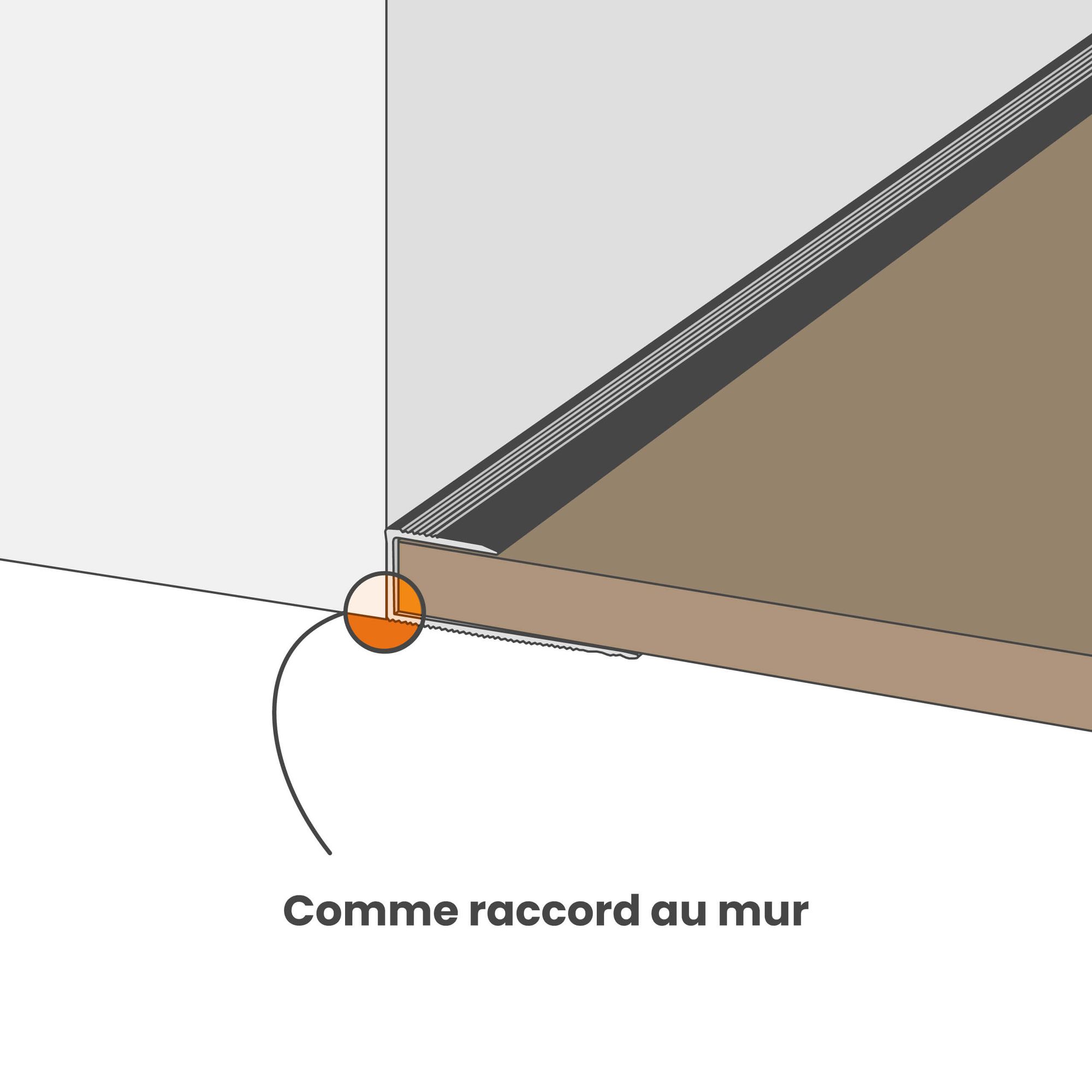 Profil de transition 100 cm pour revêtement 8 mm, à encastrer (carrelage), aluminium anodisé, chêne noble - Dalsys - 5