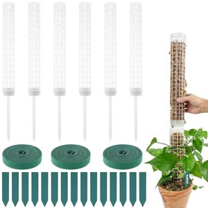 6 Tuteurs Pour Plantes D'intérieur - 25 Cm, Plastique, Réutilisables, Pour Pots Et Plantes Grimpantes