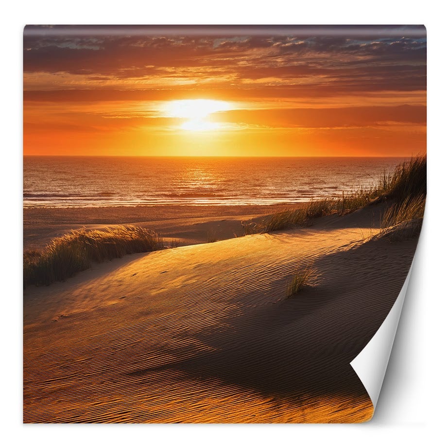 Fototapeta, Zachód Słońca Plaża Natura 250x250