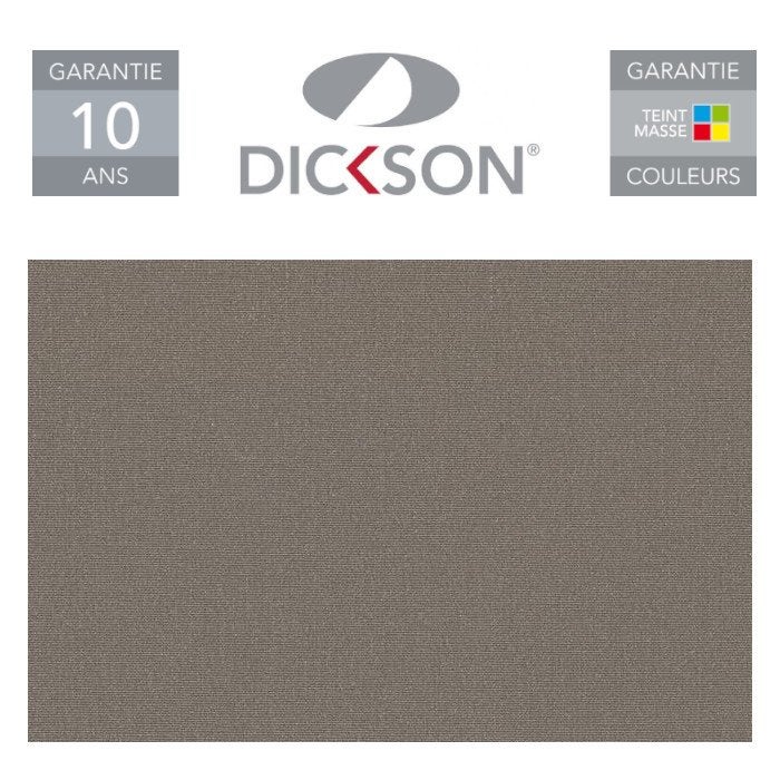 Store de Terrasse Coffre Intégral Solares Motorisé RAL Anthracite 5 X 3 Dickson® TAUPE - 5