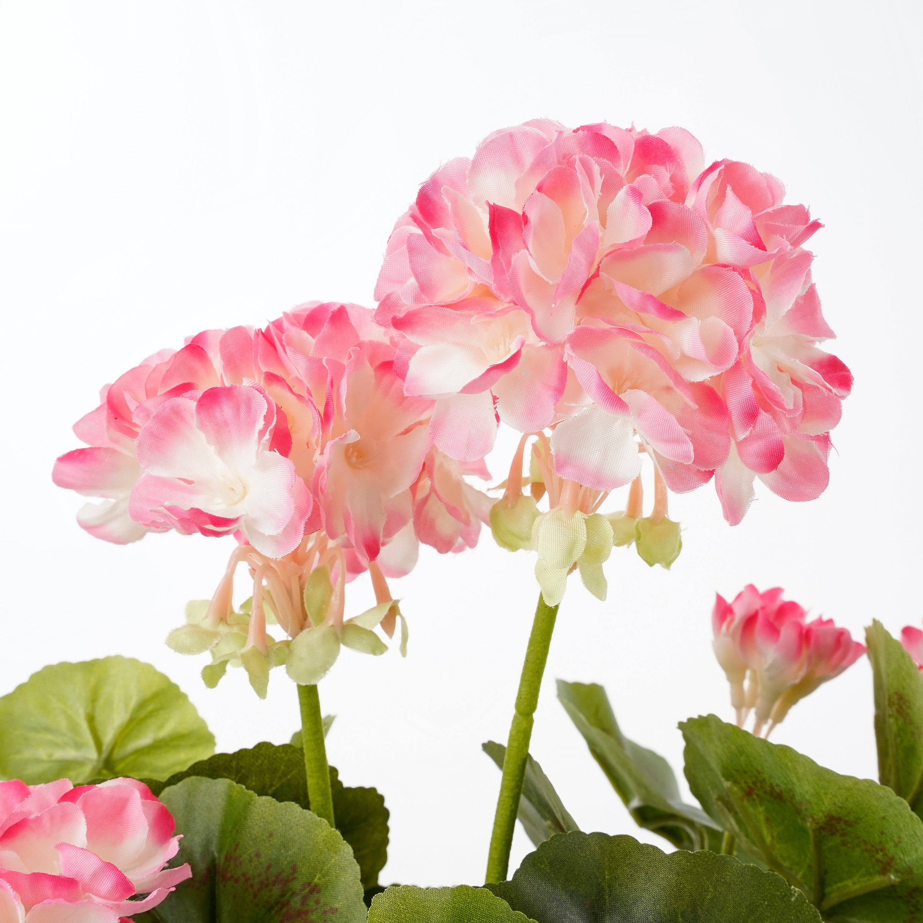 Sztuczna pelargonia w doniczce, MICA DECORATIONS, wys. 34 cm - 2