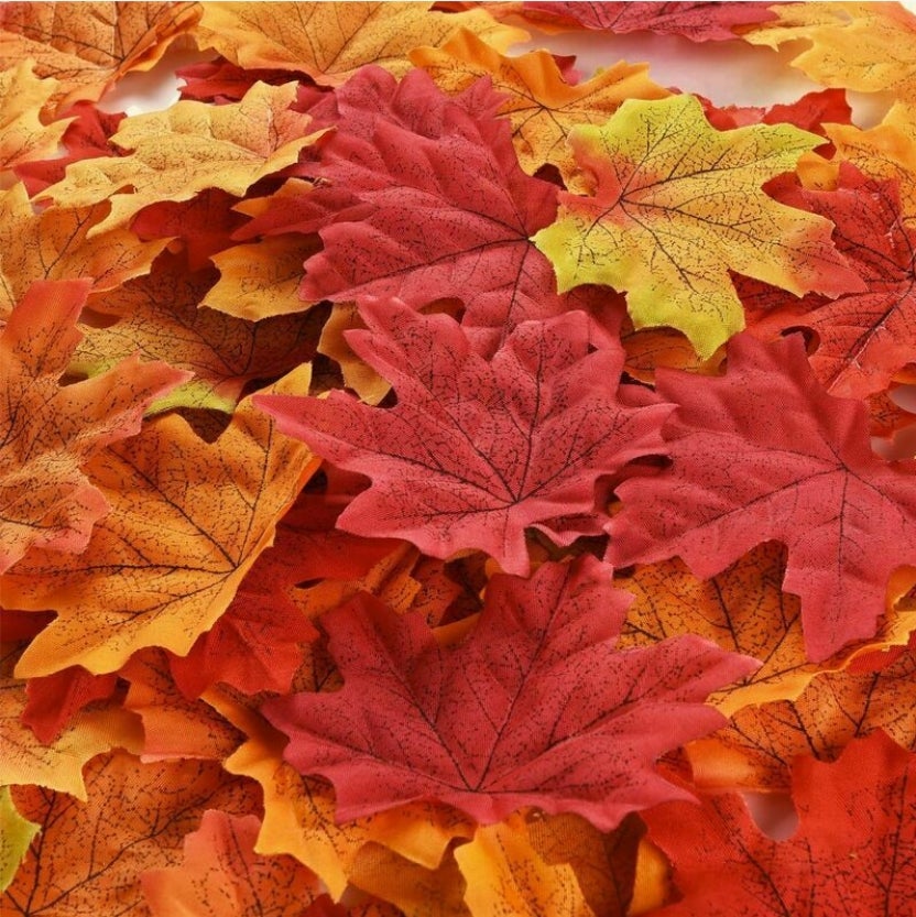 528 Pièces Autocollants Feuilles D'Érable En Feutre - Stickers Automne Assortis Pour Décorations Thanksgiving Et Halloween