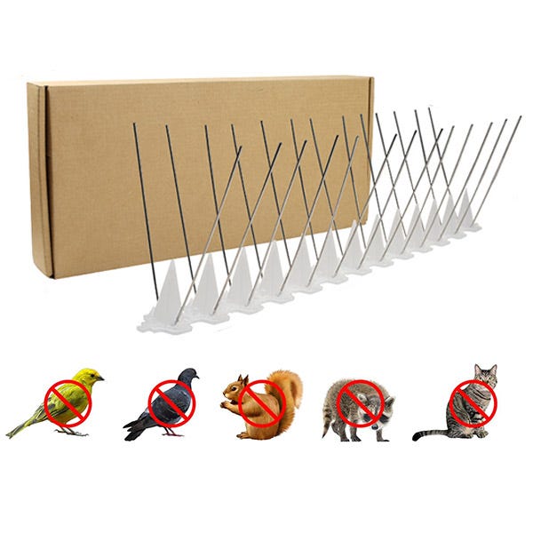 10 punte anti-uccelli da esterno in plastica per piccoli uccelli, gatti 10 punte anti-uccelli da esterno in plastica per piccoli uccelli, gatti