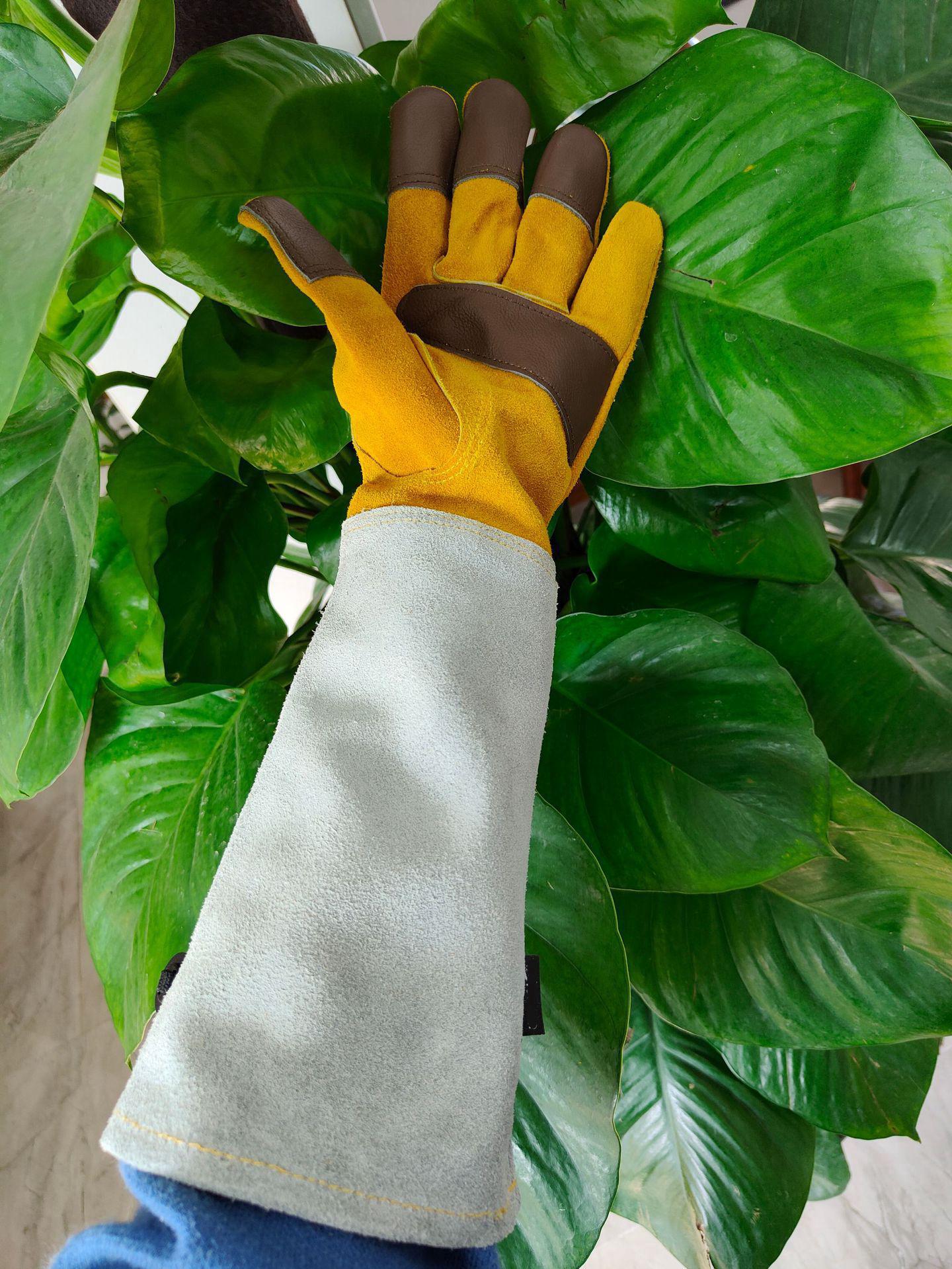 Gants de jardinage XL Gants de travail en cuir pour femmes/hommes - Outils de jardinage cadeaux Gants résistants aux coupures - 4