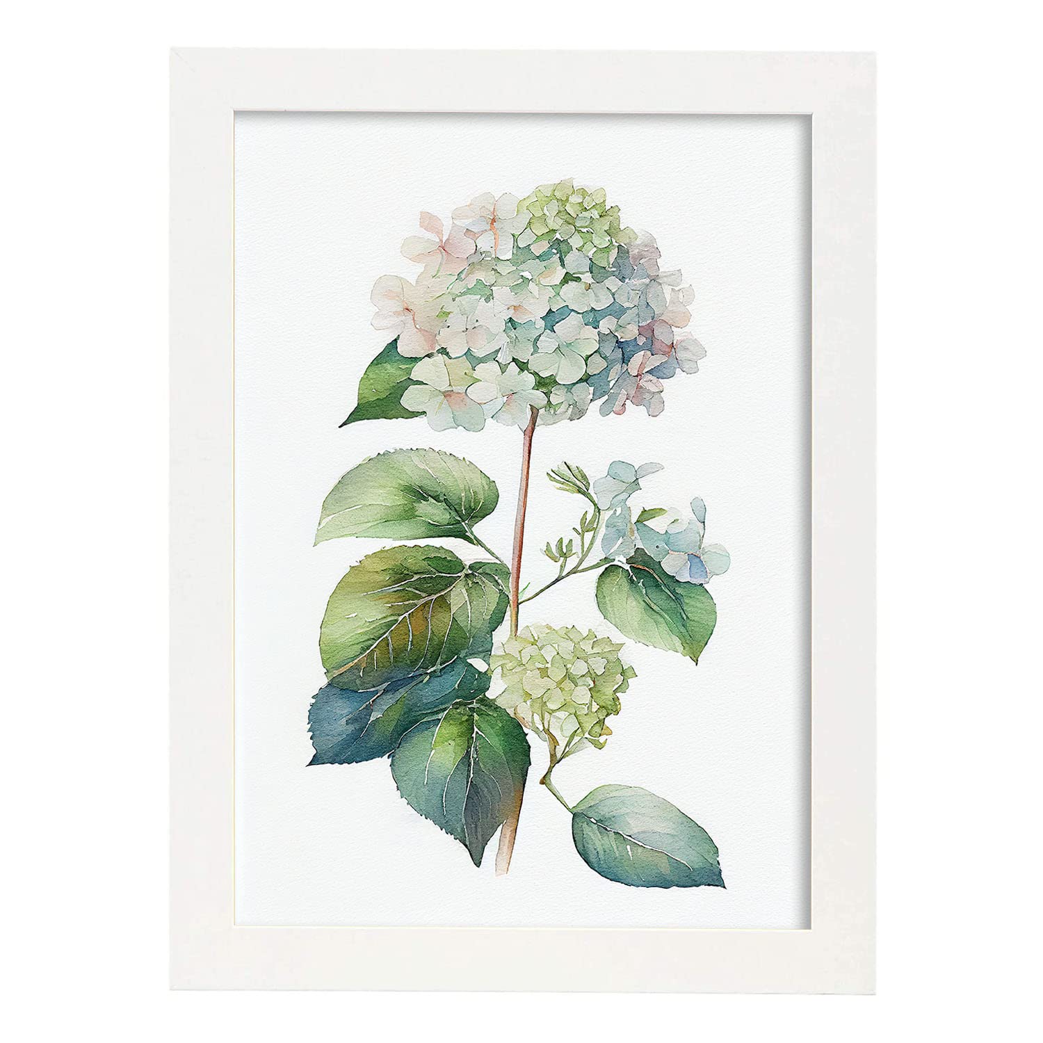 Nacnic poster de hortensia estilo nórdico ilustraciones de botánica con flores y plantas en acuarela diseño moderno y modelo 3 a3 con marco blancos