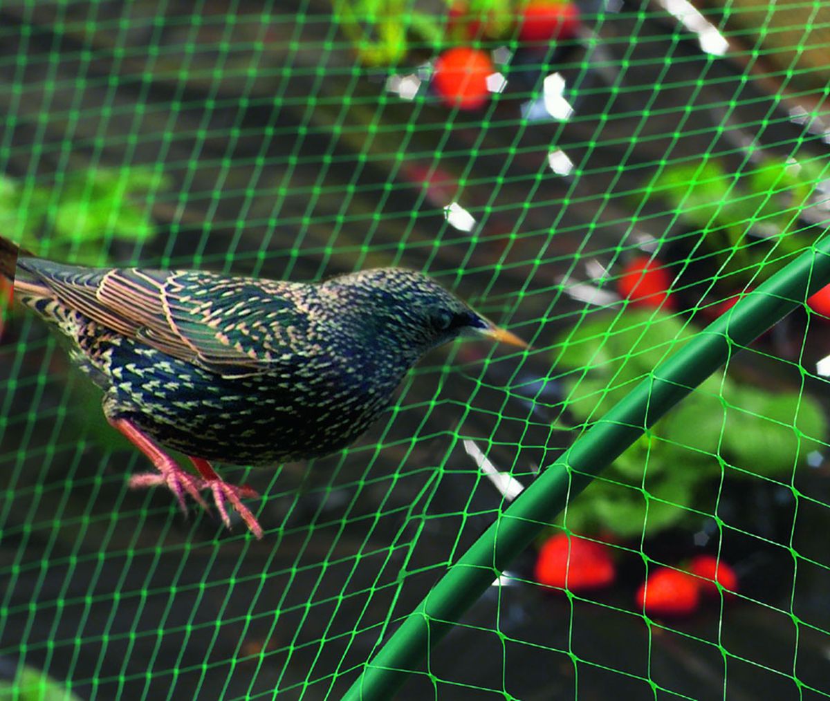 Filet de protection oiseaux 