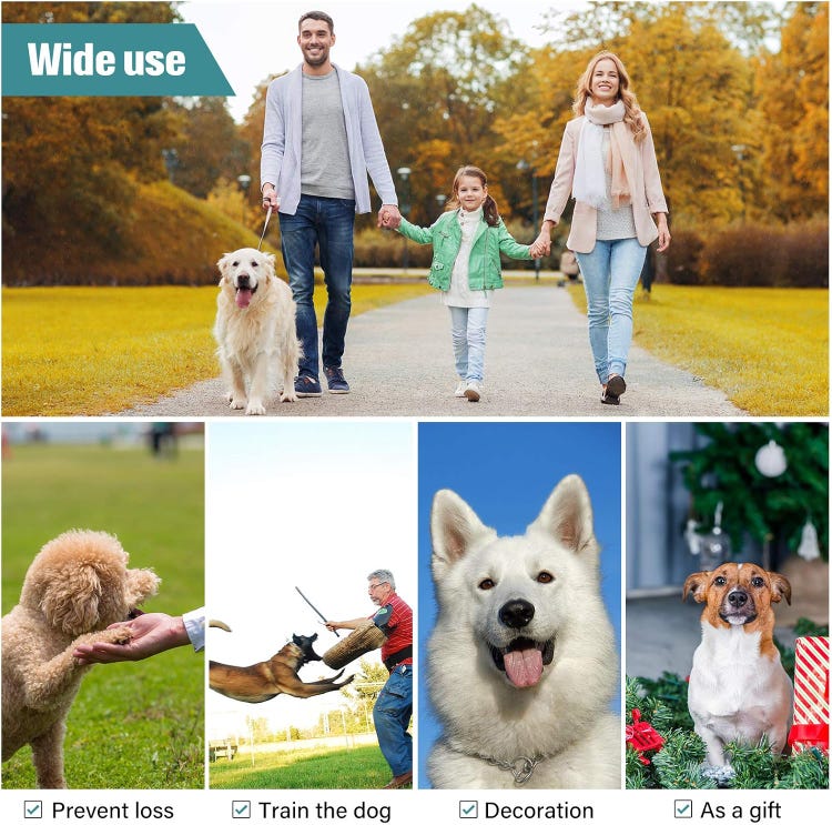 Coleira de metal para cães, coleira de corrente para cães, coleira de aço para cães, coleira antiderrapante para passeios e treinamento. - 3