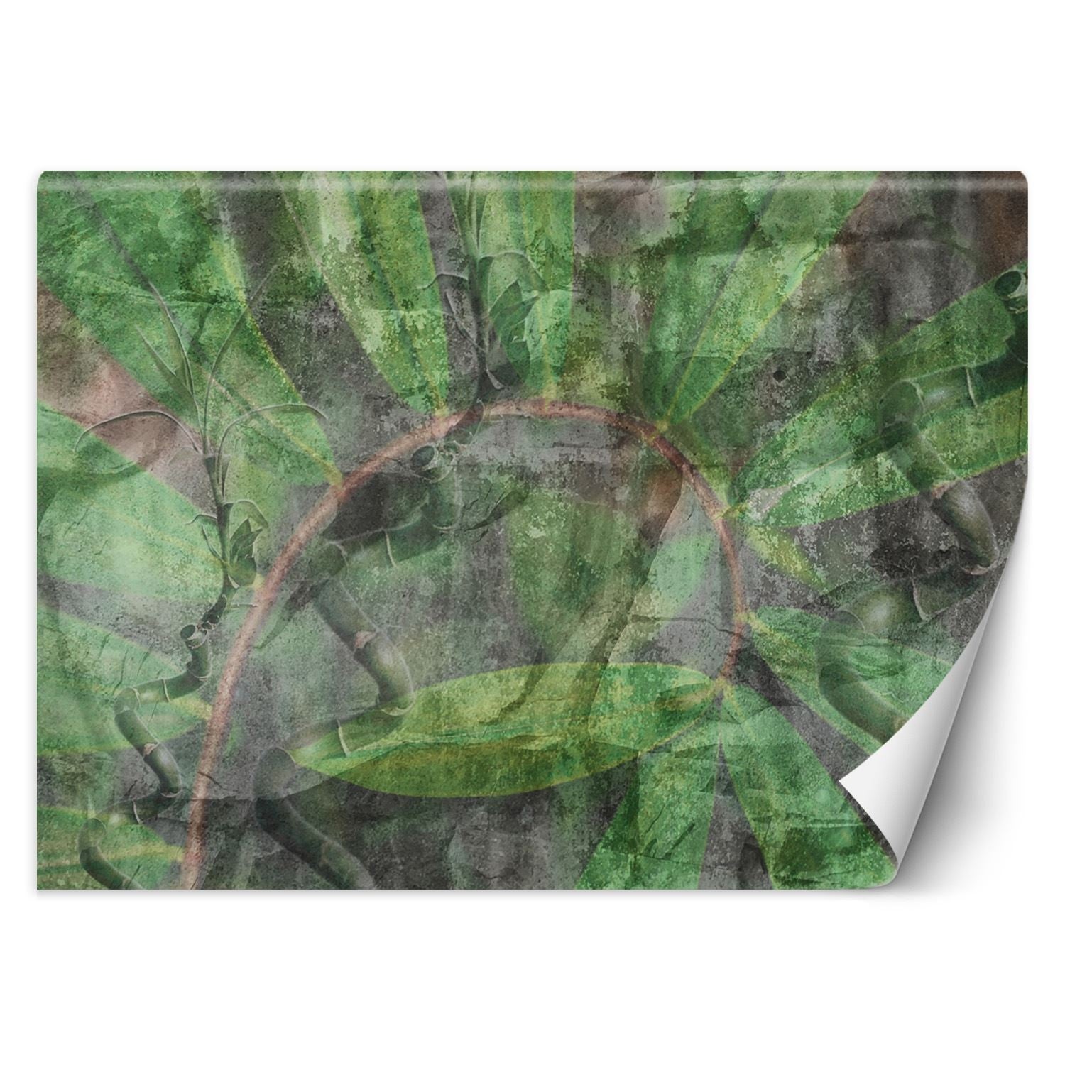 Fototapeta, Tropikalne rośliny 450x315