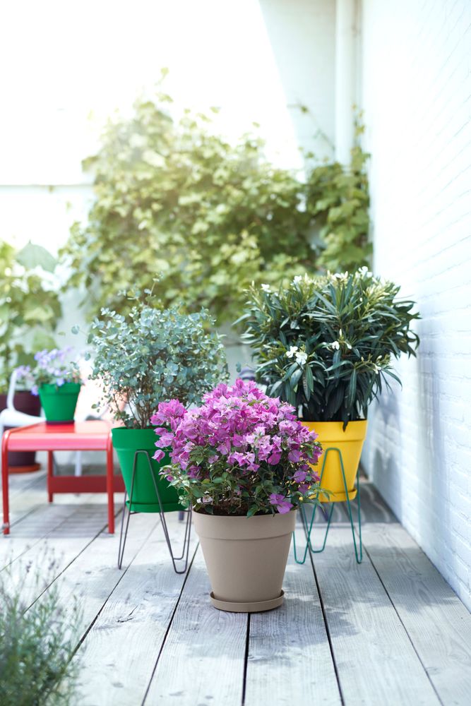 Elho Loft Urban Soucoupe Ronde 21 - Jaune - L 21 x B 20.9 x H 3 cm - extérieur-accessoires - 100% recyclé - 4