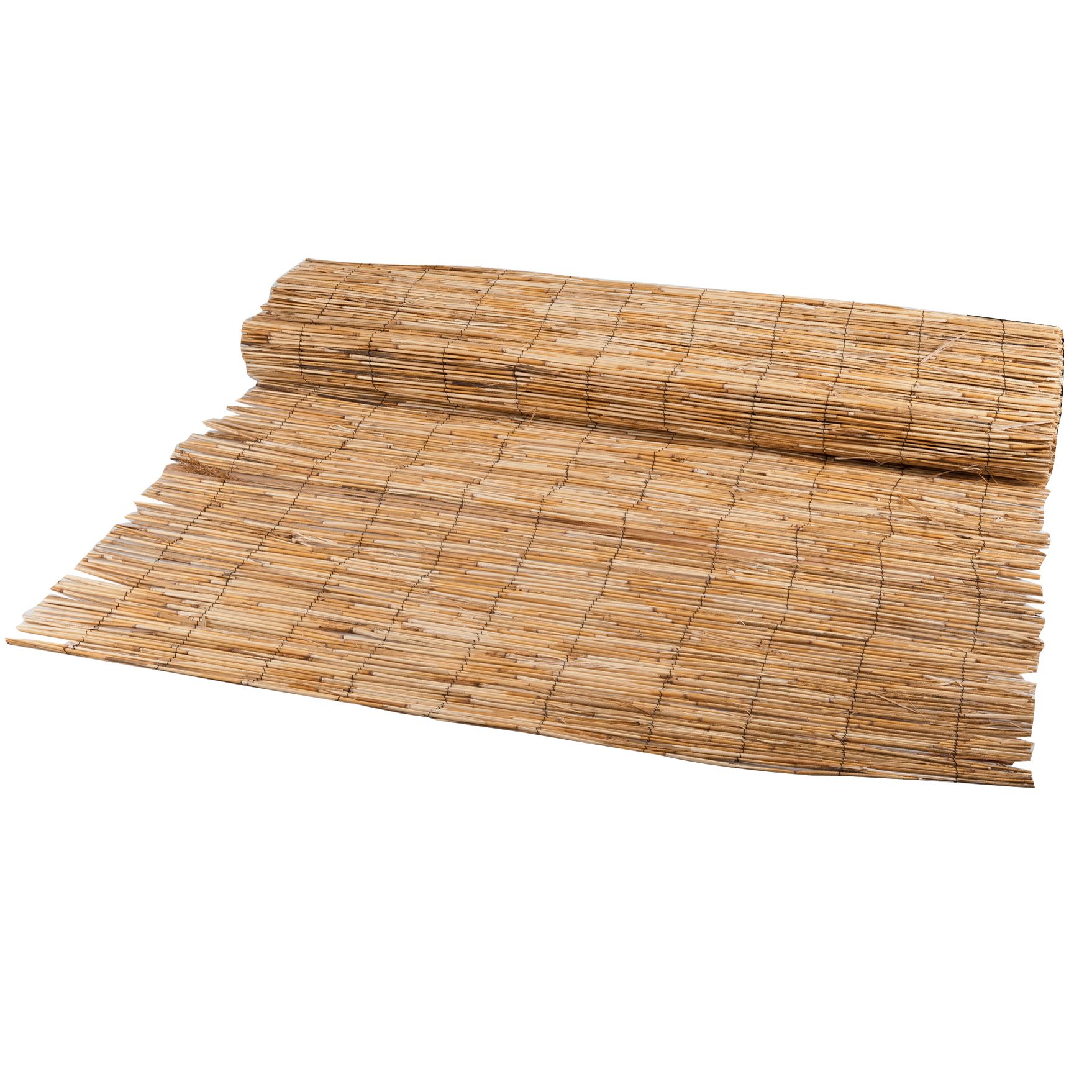 Canne in giunco naturale WERKA PRO - 2