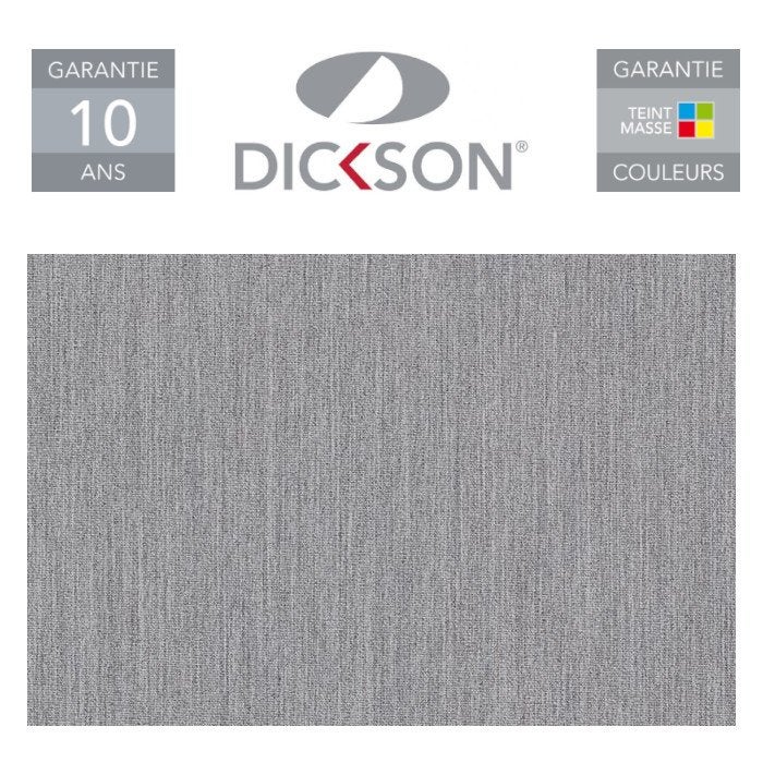 Store de Terrasse Coffre Intégral Solares Motorisé RAL Anthracite 5 X 3,5 Dickson® SOURIS - 5