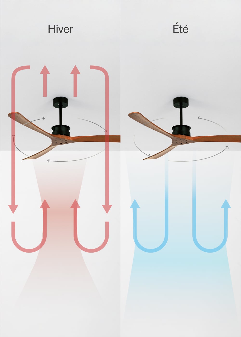 WIND LARGE DC - Ventilateur de Plafond 40W Silencieux XL Ø152 cm - Sans Lumière et Sans WIFI - 4