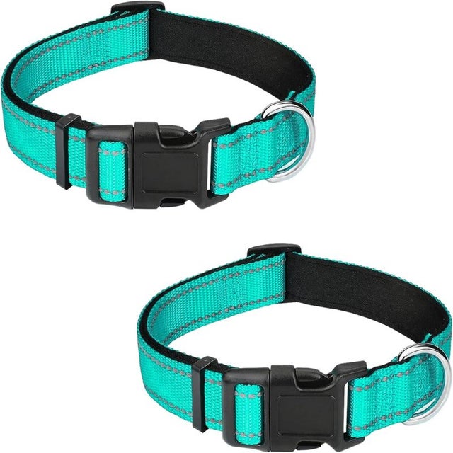 2 peças refletivo coleira para cão: ajustável macio acolchoamento de neoprene Nylon coleira com fivela-alta visibilidade para cães pequenos