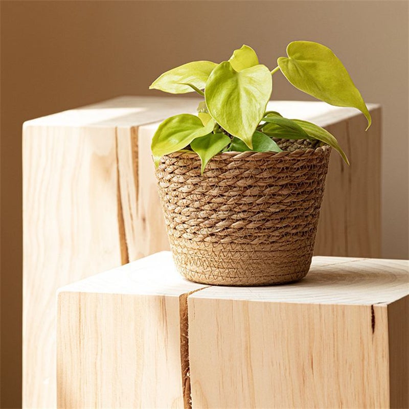 Conjunto de 3 peças, vasos de vime natural trançado, cesto para plantas em rattan, cestos decorativos para arrumação em casa. - 4
