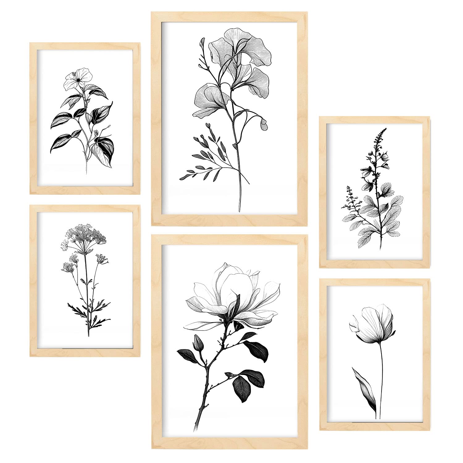 Nacnic posters de flores llamativas ilustraciones en blanco y negro de naturaleza y botánica con temas florales para la a4 & a3 marcos color madera