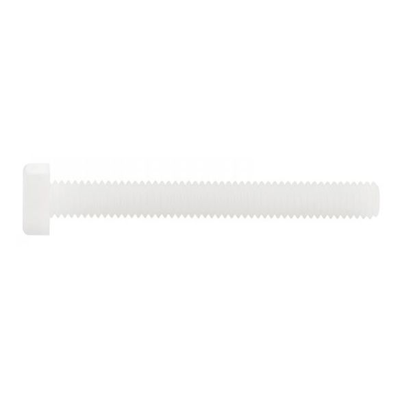 Vis tête hexagonale - Filetage Total - Nylon 6.6 4x10 mm - Boîte de 200 - 2