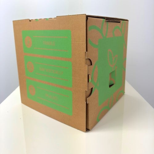 Aromi da Cocktail - Menta Mojito e Menta Hugo Cespuglio 14 - Pack da 4 - 4