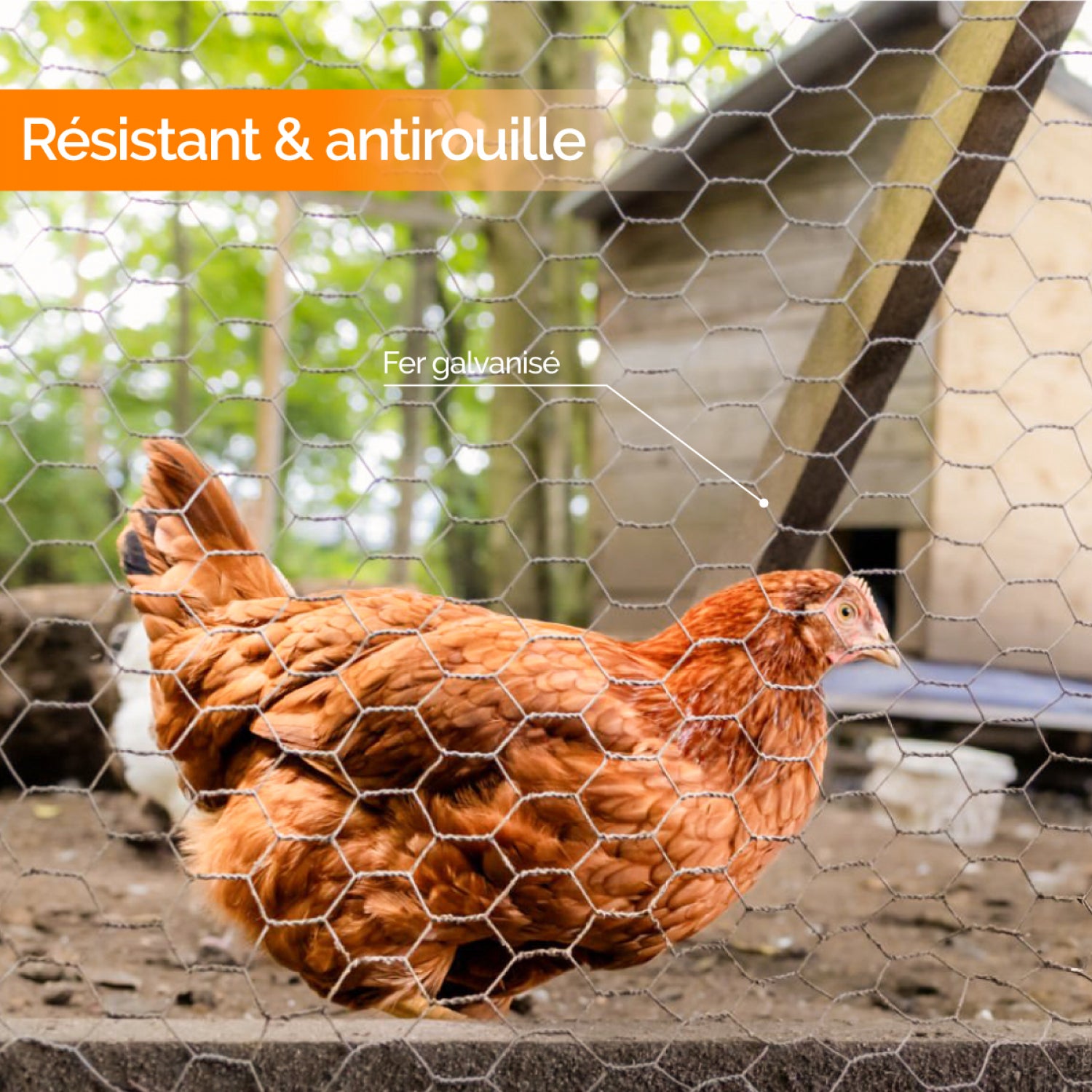 Grillage triple torsion galvanisé pour poules ou petits animaux, clôture poulailler, jardin - 25 m x 1 m - Maille 25 mm - Diam 1 mm - Gris - Linxor - 3