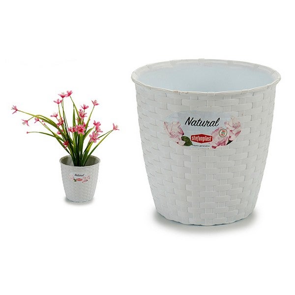 Vaso Natural Tondo Bianco 14 H 13 Stefanpl - 3