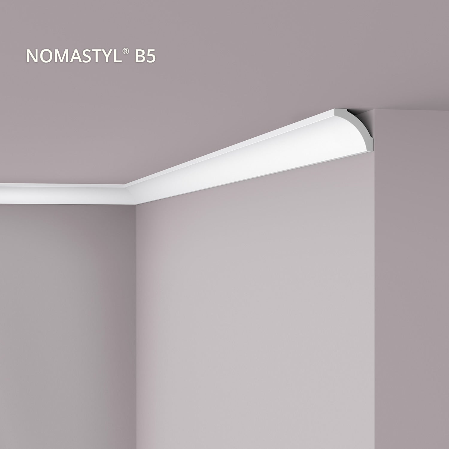 Cornisa NOMASTYL B5 Moldura decorativa Perfil de estuco 2 m - 2