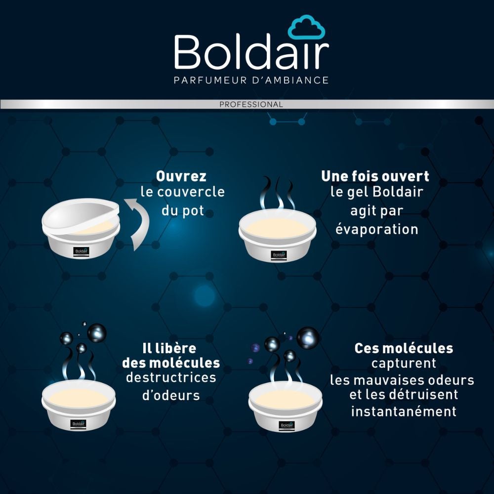 BOLDAIR GEL DEST.ODEUR 300G ORANGER BOLDAIR - PV56075101 - 3