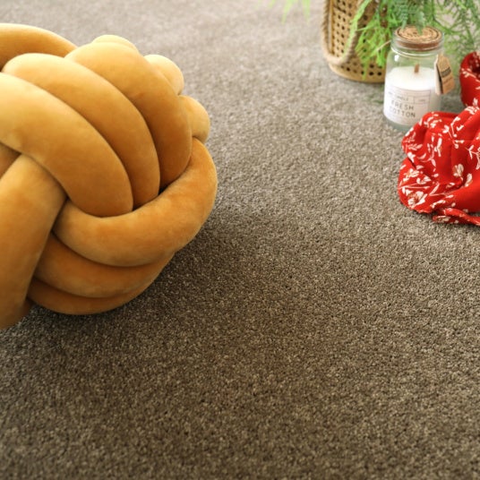 Moquette - Manège - Marron - Rouleau de 4m x 5m - 2