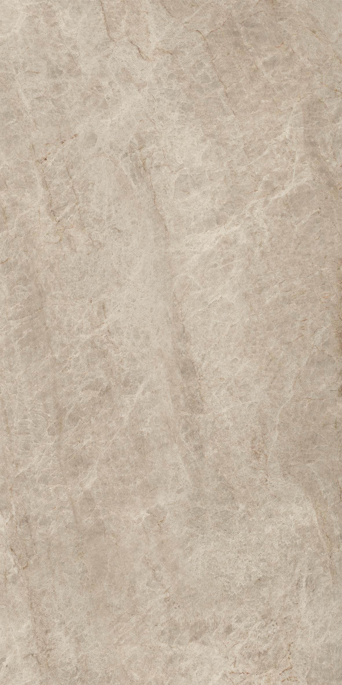 Gres Porcellanato Effetto Marmo Elegante Avorio Opaco Rt 60X120 - ETMA1567 (Ceramishop.it) - 5
