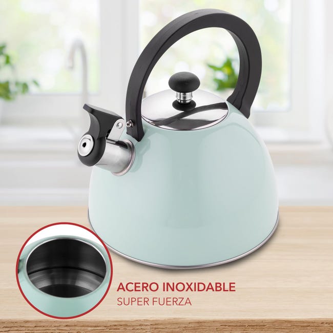 Bollitore Rettberg 2,64L In Acciaio Inox 304: Per Induzione, Fischietto, Manico Ergonomico, Guanti Inclusi (Verde Menta)