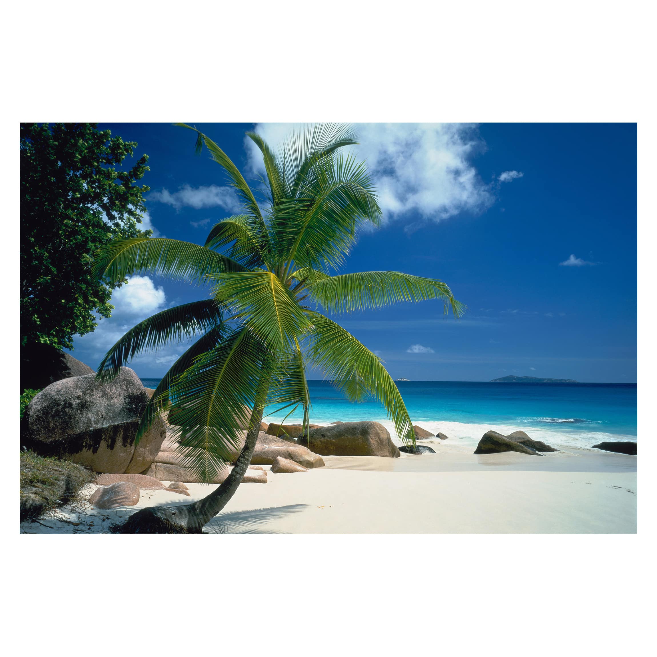 Papel pintado fotomural tropical arte naturaleza playa 120 - salón dormitorio cocina pasillo - tnt 480 x 320 cm smart