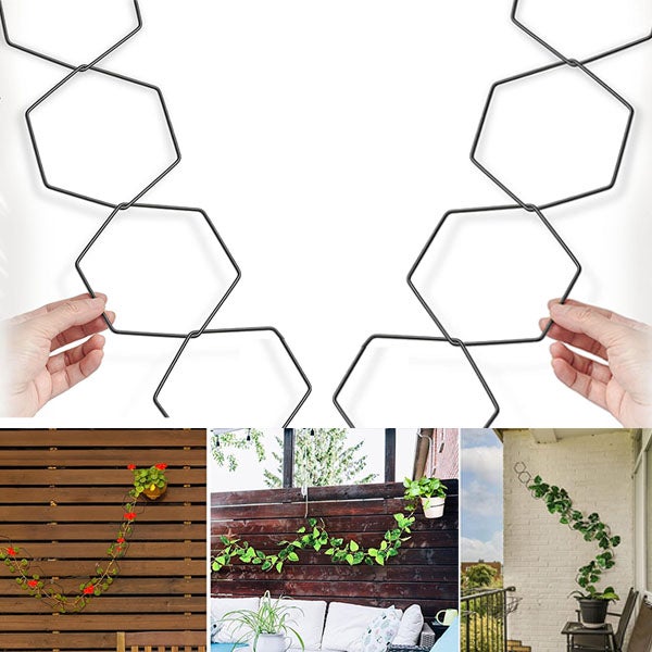 2 Krata łańcuchowa do roślin pnących, akcesoria do roślin wewnętrznych i zewnętrznych, podpora winorośli, sześciokątny żelazny pierścień