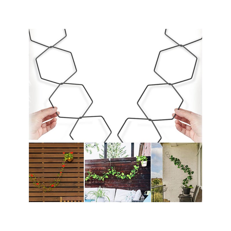 2 Krata łańcuchowa do roślin pnących, akcesoria do roślin wewnętrznych i zewnętrznych, podpora winorośli, sześciokątny żelazny pierścień