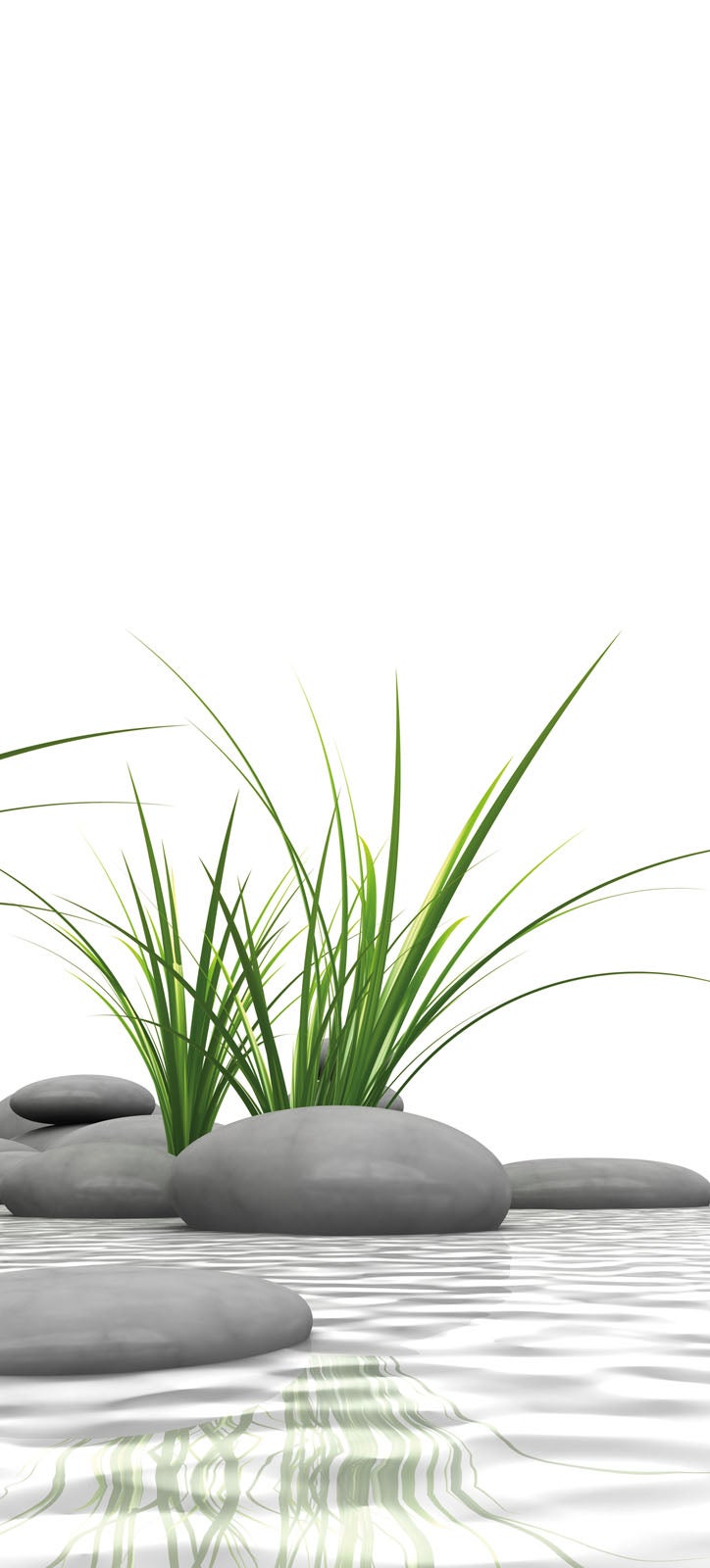 Schulte pack de 2 panneaux muraux 90x210 cm + 3 profilés revêtement pour douche et salle de bains, DécoDesign PHOTO, pierres zen et herbes + blanc - 2