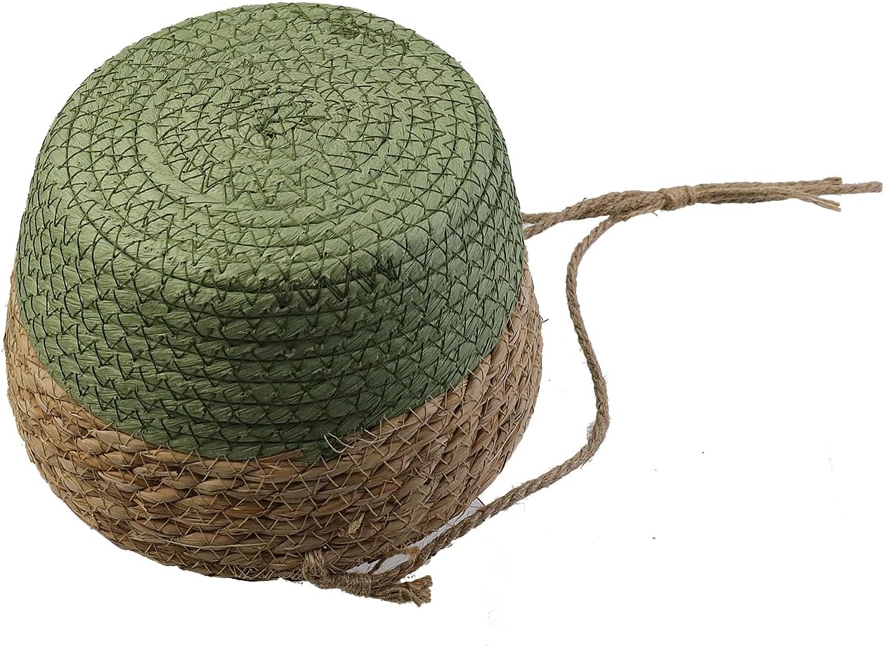 Panier Suspendu En Corde De Jute & Jonc De Mer – Pot De Fleurs Tressé Écologique Vert, Idéal Intérieur/Extérieur