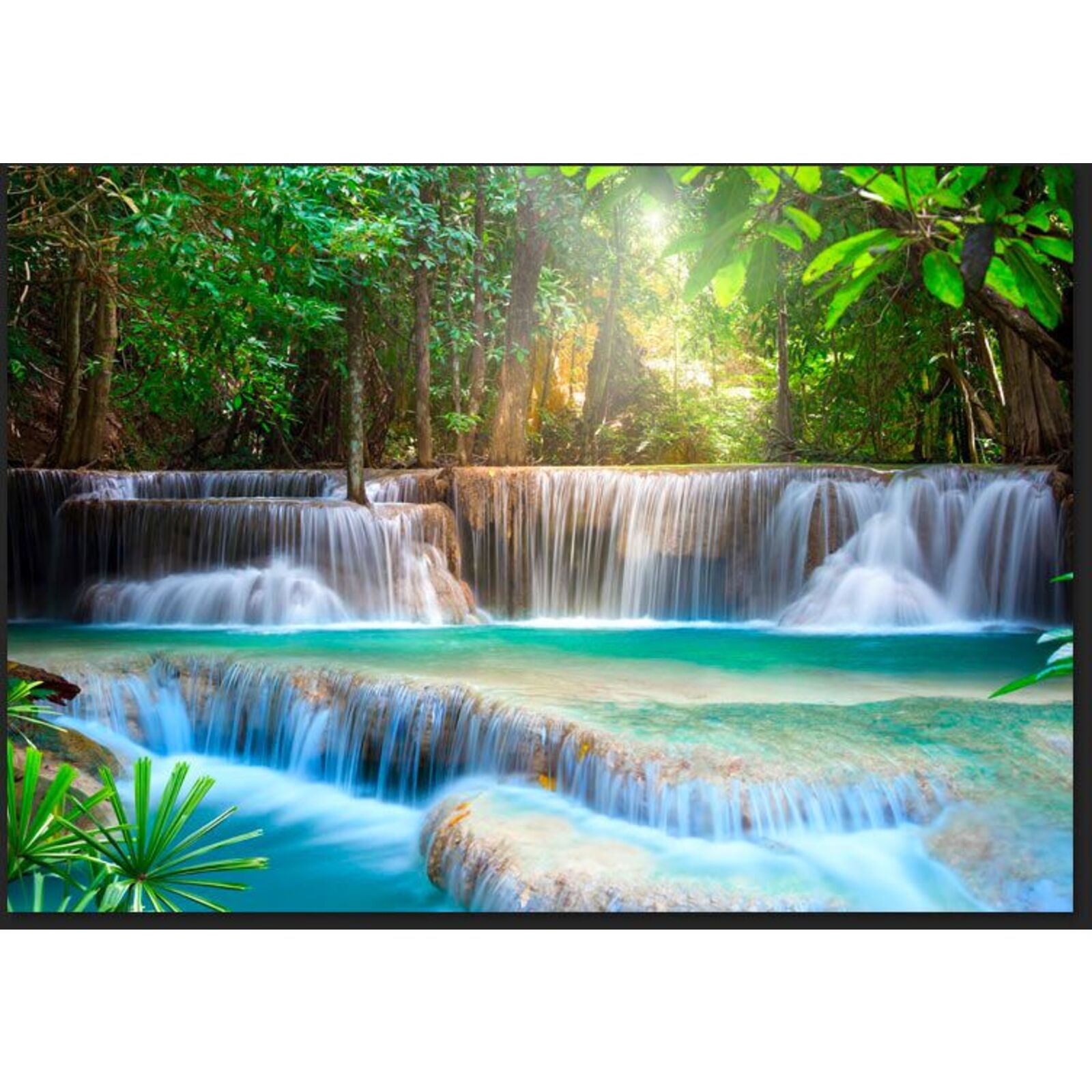 Papier peint éveil de la nature - 350 x 245 cm - 2