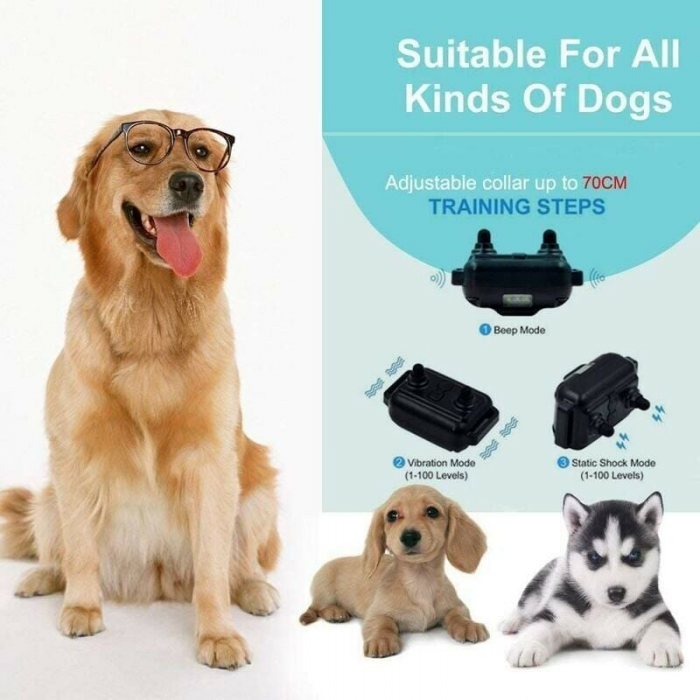 Collar para perros con un alcance efectivo de 800 metros, control remoto recargable y clasificación de impermeabilidad IPX7. - 2