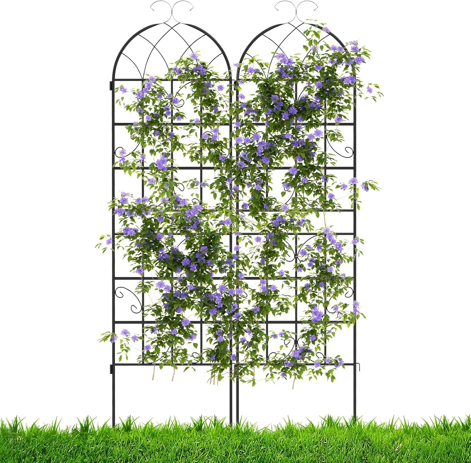Zestaw 2 Krat Ogrodowych do Roślin Pnących, Kraty do Roślin 1,8 m z Ocynkowanego Metalu, Kraty Dekoracyjne (Czarny Łuk | 50 × 180 cm, 2 Szt.)