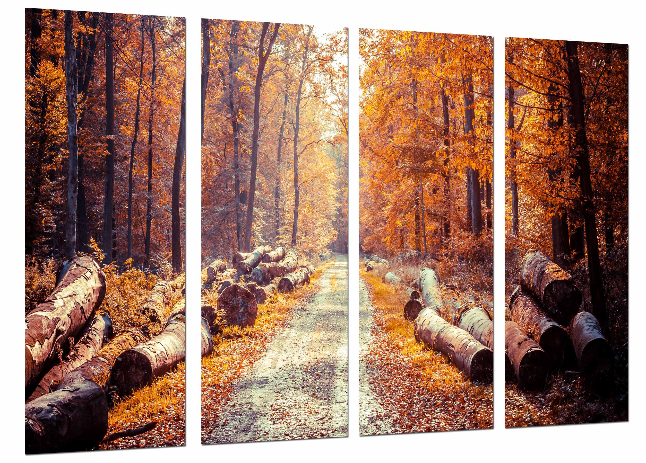 Bosque otoño, camino troncos, naturaleza, marrones, impresión fotográfica sobre madera, cuadro moderno decorativo
