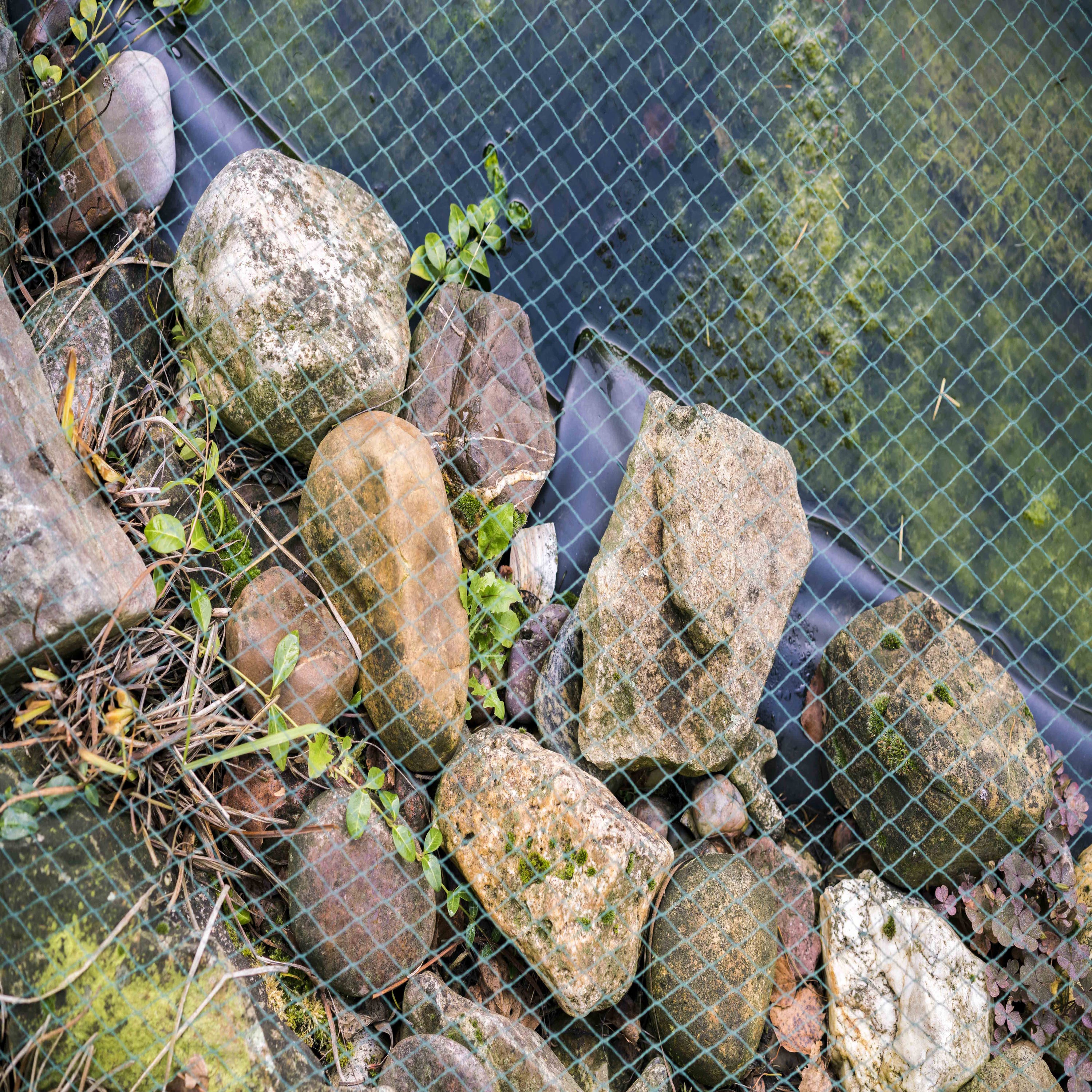Rete Per Laghetto 3x8 M Aquagart: Proteggi Foglie, Aironi E Insilati – Telo Antivolatili Resistente E UV