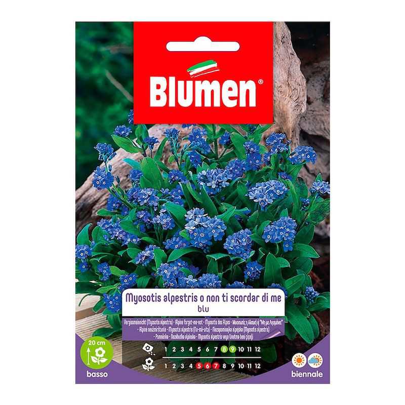 Me Blue Semillas Blue Myosotis Alpestris O Forget-me-not En Sobre | Leroy Merlin