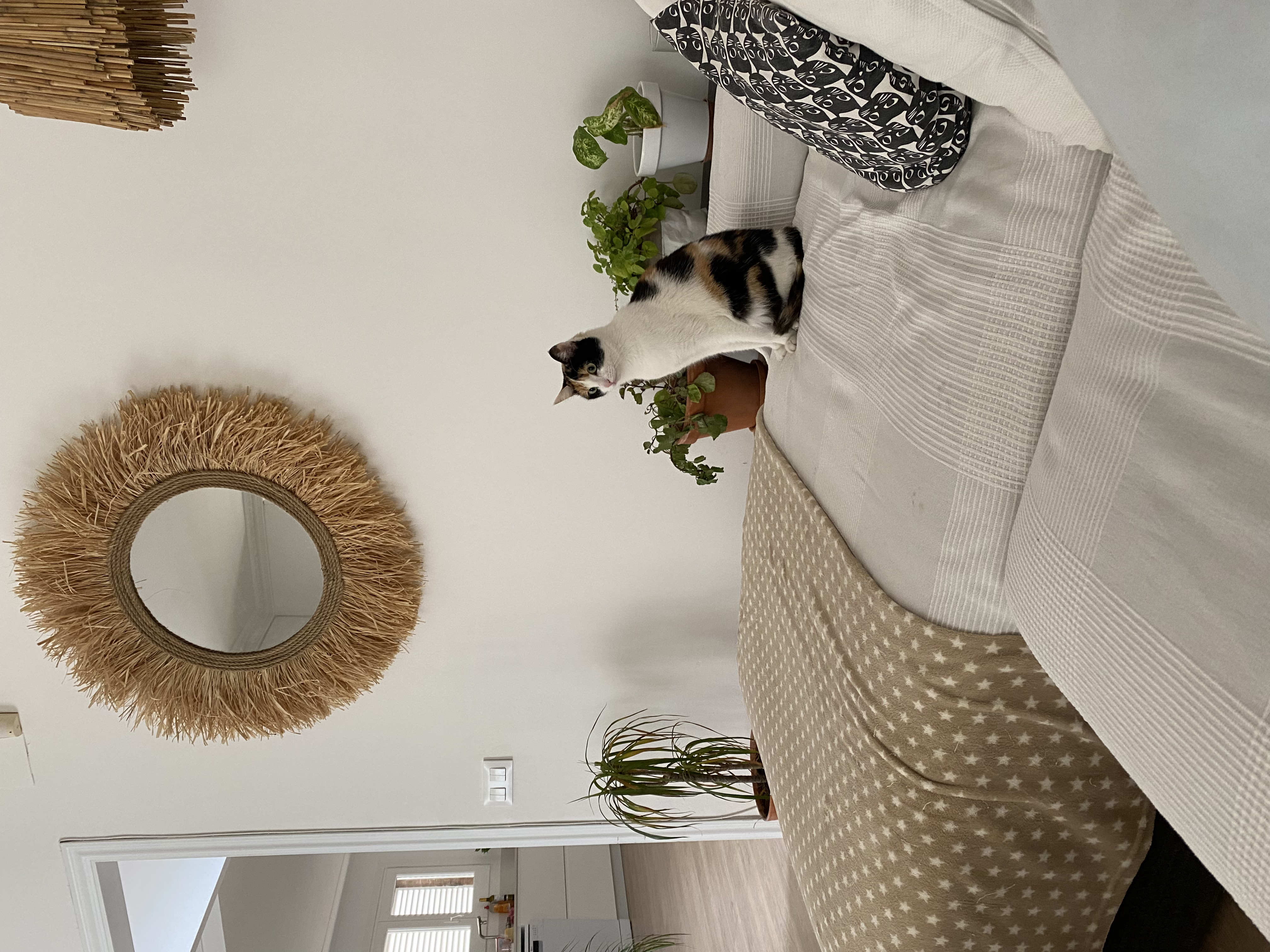 Ozdobne lustro ścienne z rafii i naturalnych włókien – RAFFIA CORD Ø całkowita 60 cm - 9