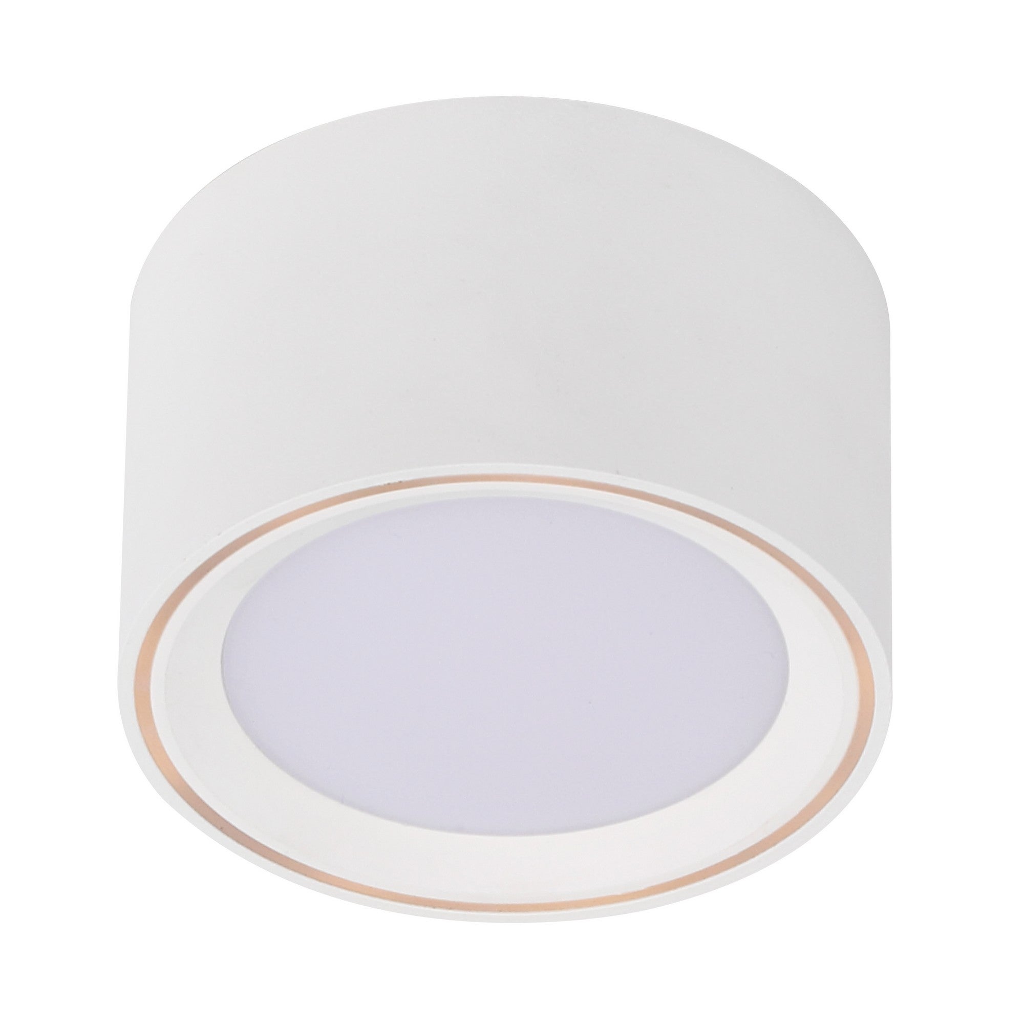 Surface spot FALLON Métal Blanc/Acier, H.6 - IP20 - LED Module /Nordlux Intérieur - 5