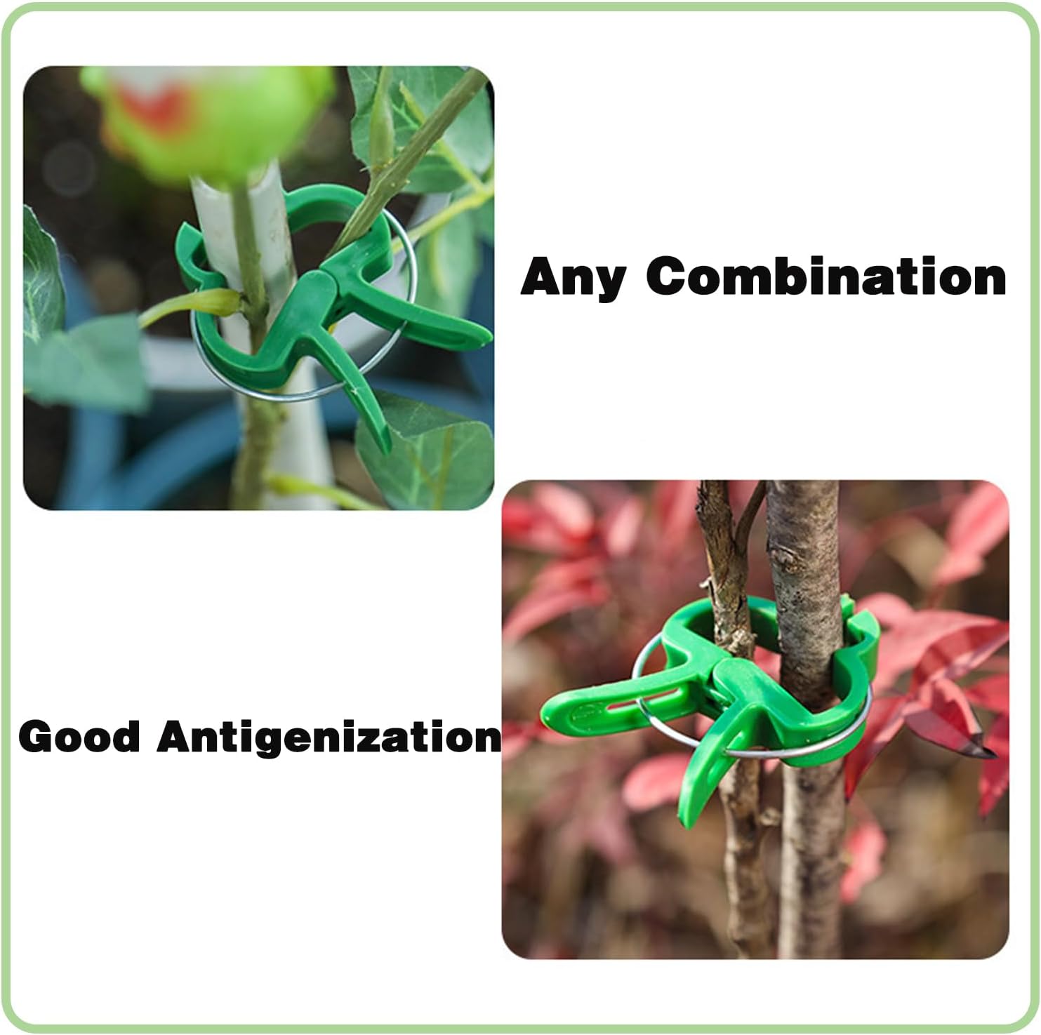 20Pcs Clips pour Plantes, Clips de Tomates, Clips de Support pour Plantes, Planter de Clips Tomates de Jardin, Pinces à Plantes Réutilisable Attache - 4