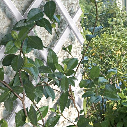 Traliccio Grigliato Estensibile in PVC per Piante rampicanti Balcone Giardino terrazza 4x1 mt Bianco - 2
